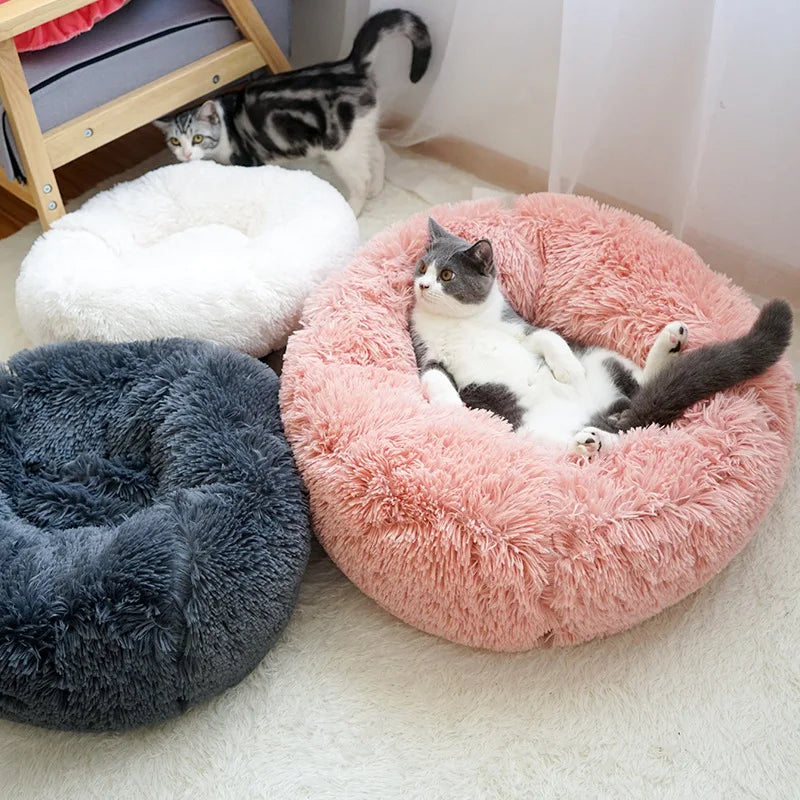 dog pillow pet cat pillow pet